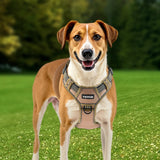 Dog Harness For Large Dogs No Pull Tactical Dog Harness Adjustable Pet Vest 